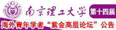 嗯嗯啊h视频南京理工大学第十四届海外青年学者紫金论坛诚邀海内外英才！